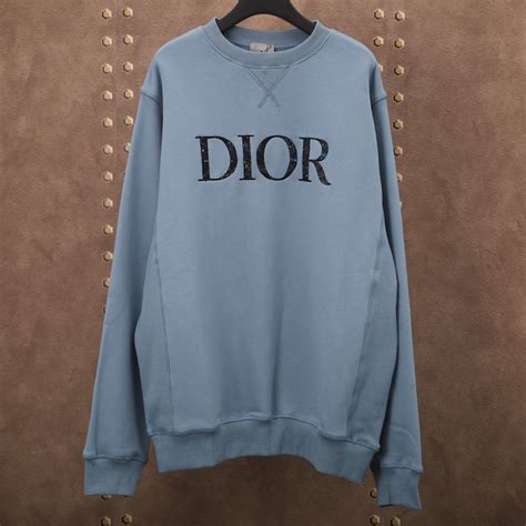 oversized dior and peter doig sweatshirt|Oversized DIOR AND PETER DOIG Hooded Sweatshirt Light .